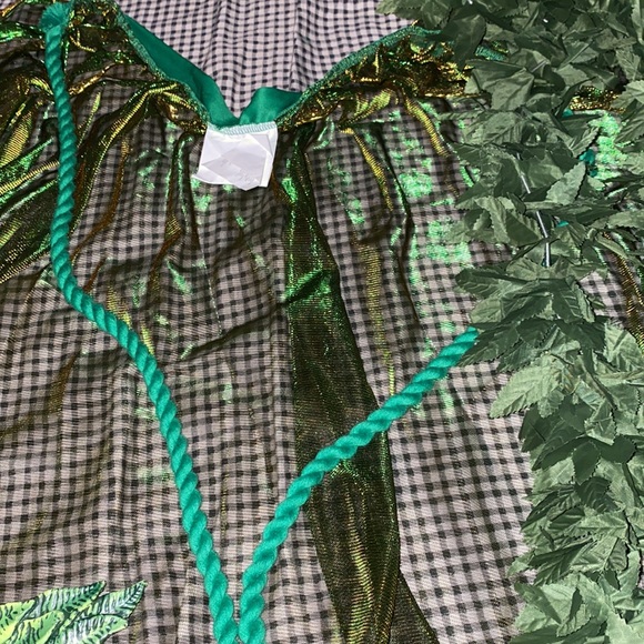 A BEAUTIFUL Poison Ivy costume, great for themed parties, Halloween & etc 💚🥳 - Picture 5 of 10